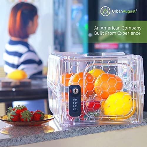 Urban August Dual Lock and Key Medicine & Refrigerator Lockbox